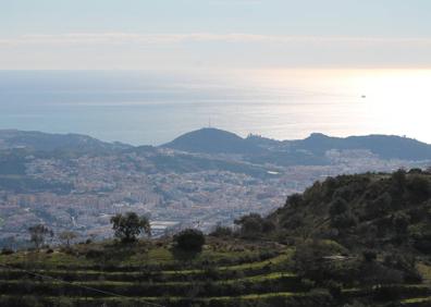 Imagen secundaria 1 - Primer ascenso. Vista de Ciudad Jardín con el fondo del Mediterráneo. El palmito es especialmente abundante en algunas zonas.