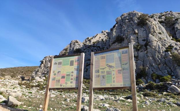 Imagen principal - Es una ruta idónea para la observación de aves. Paso junto a los tajos del Cuervo. Hay un tramo que discurre por una carretera con poco tránsito de vehículos.