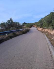 Imagen secundaria 2 - Es una ruta idónea para la observación de aves. Paso junto a los tajos del Cuervo. Hay un tramo que discurre por una carretera con poco tránsito de vehículos.