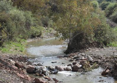 Imagen secundaria 1 - El trazado es prácticamente llano. Vado para cruzar el río. Puente de acceso para vehículos en El Alcaide.