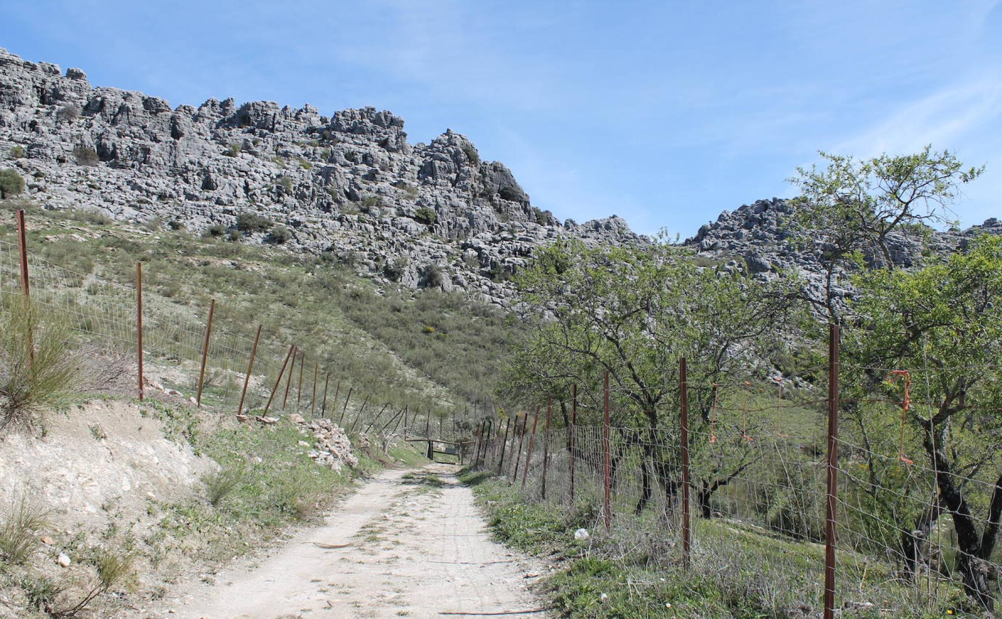 Inicio del sendero.