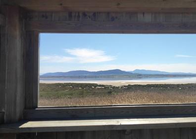 Imagen secundaria 1 - El inicio dela ruta está en el centro de visitantes José Antonio Valverde.Laguna vista desde uno de los observatorios habilitados. Desde el perímetro de las lagunas se pueden avisar algunas especies ornitológicas.