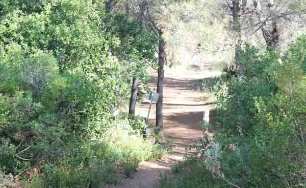 Pequeño bosque que hay que atravesar.