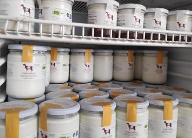 Imagen secundaria 1 - Las queserías Crestellina y La Arriateña son las dos únicas que elaboran hoy productos lácteos con materia prima de este ganado