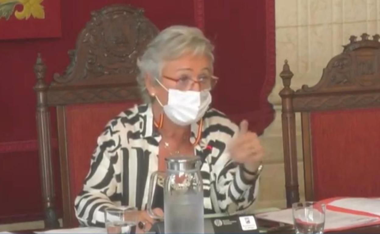 Porras, la presidenta de la comisión de Medio Ambiente, ayer durante la sesión. 