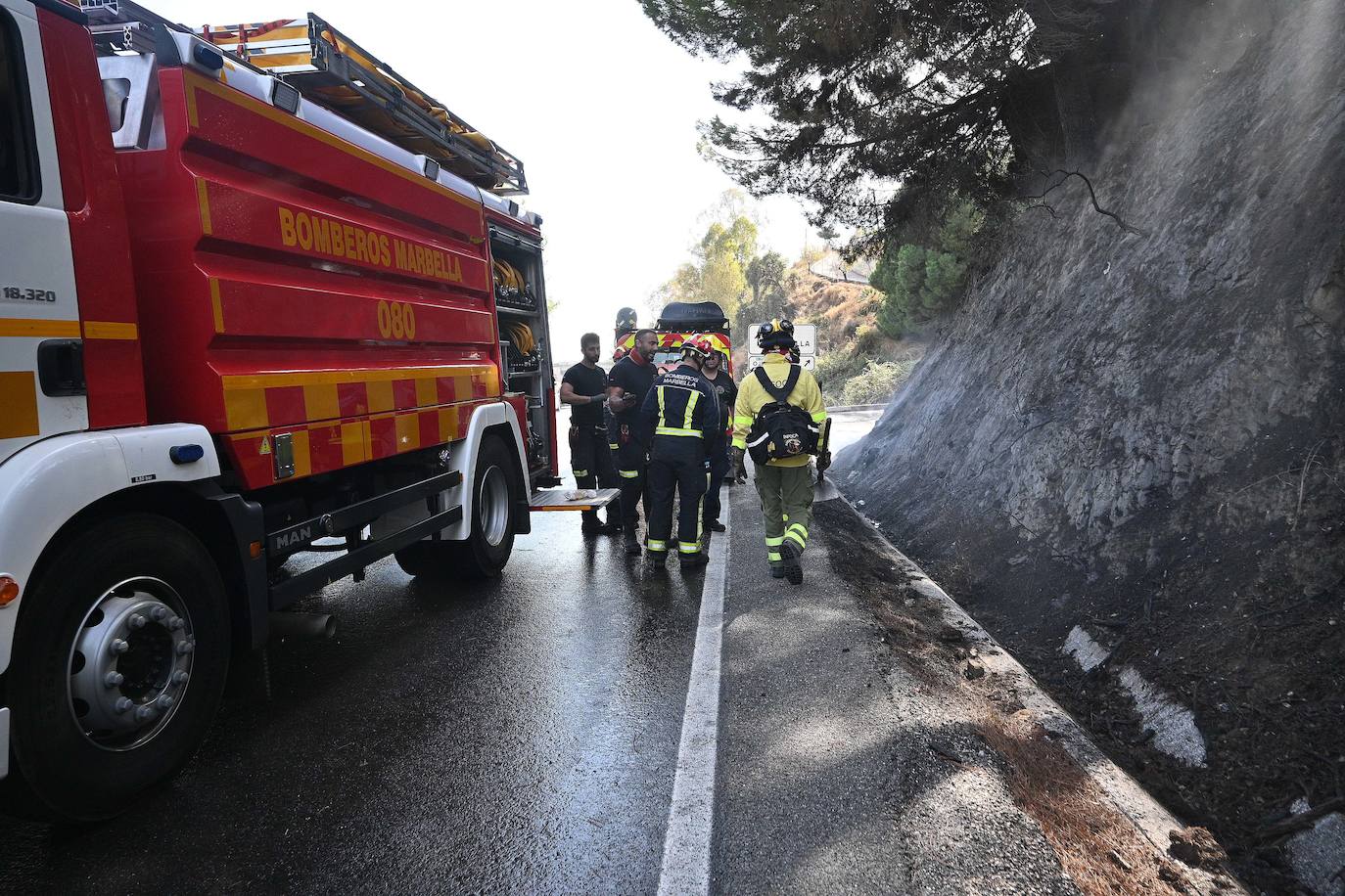 Incendio forestal en el paraje Sierra Blanca, en Ojén. 