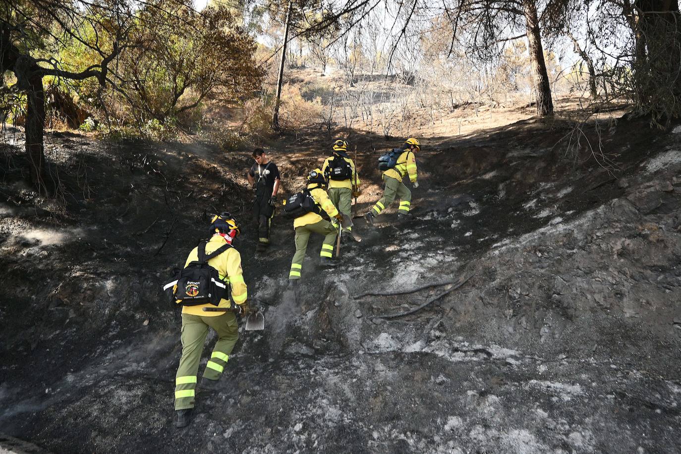 Incendio forestal en el paraje Sierra Blanca, en Ojén. 