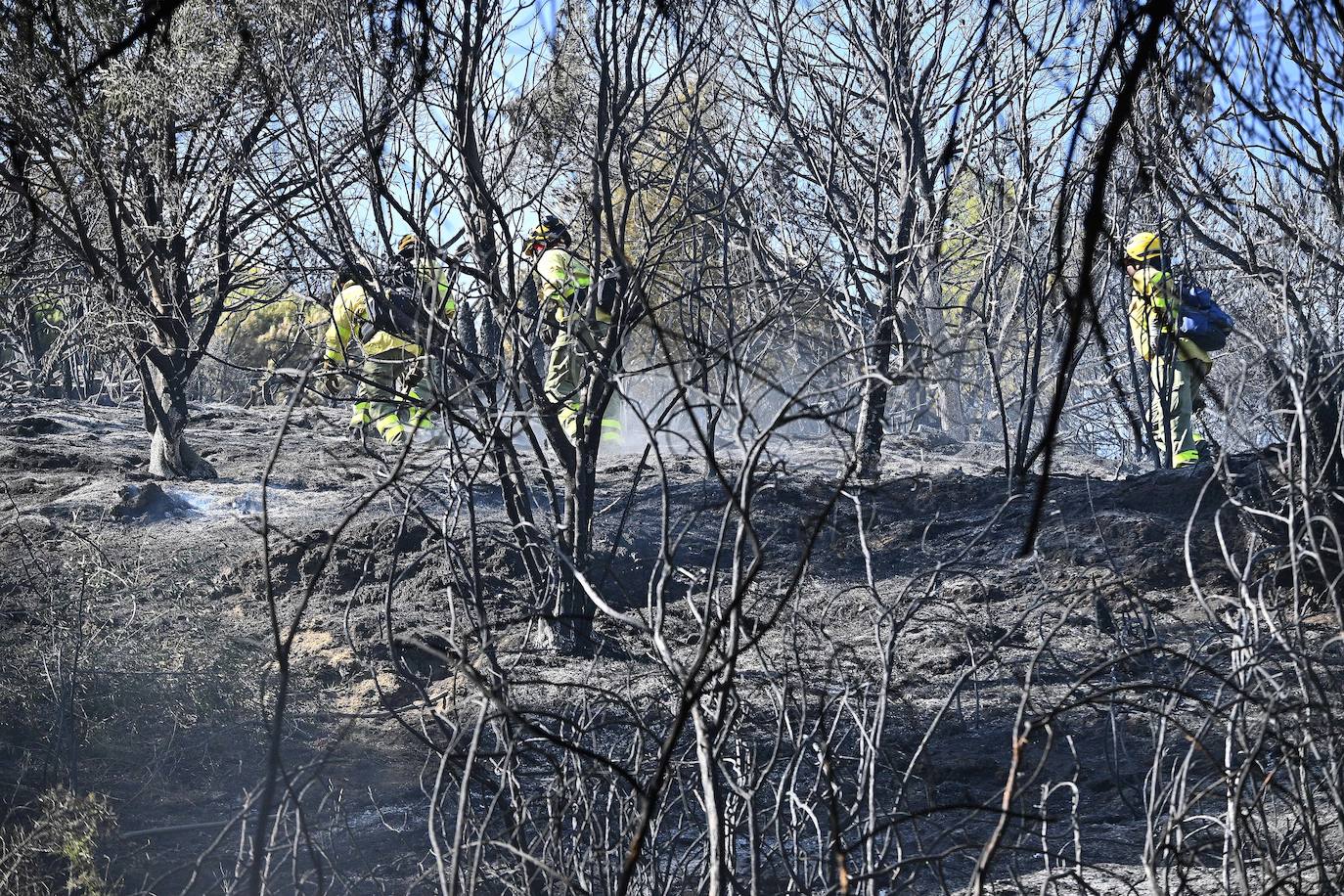 Incendio forestal en el paraje Sierra Blanca, en Ojén. 