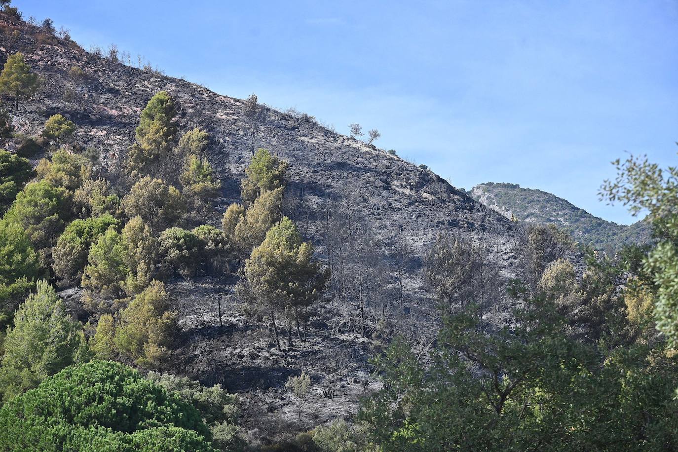 Incendio forestal en el paraje Sierra Blanca, en Ojén. 