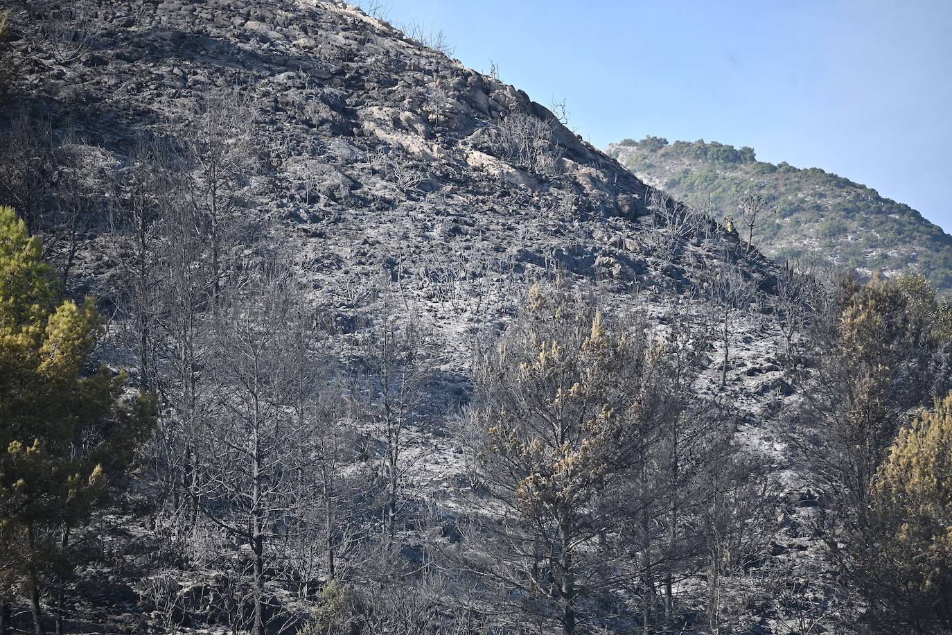 Incendio forestal en el paraje Sierra Blanca, en Ojén. 