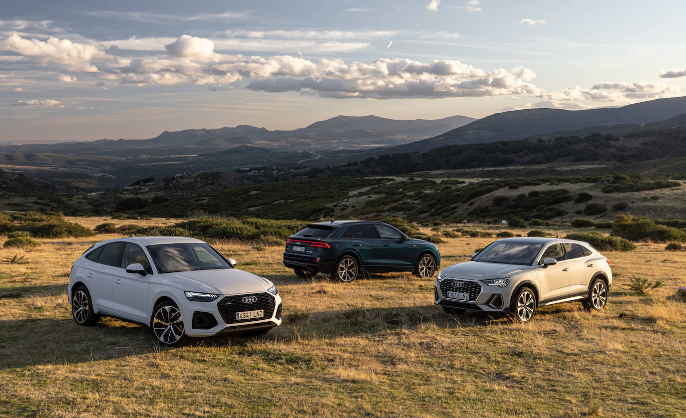 Fotos: Fotogalería: gama Audi TFSIe híbrida enchufable