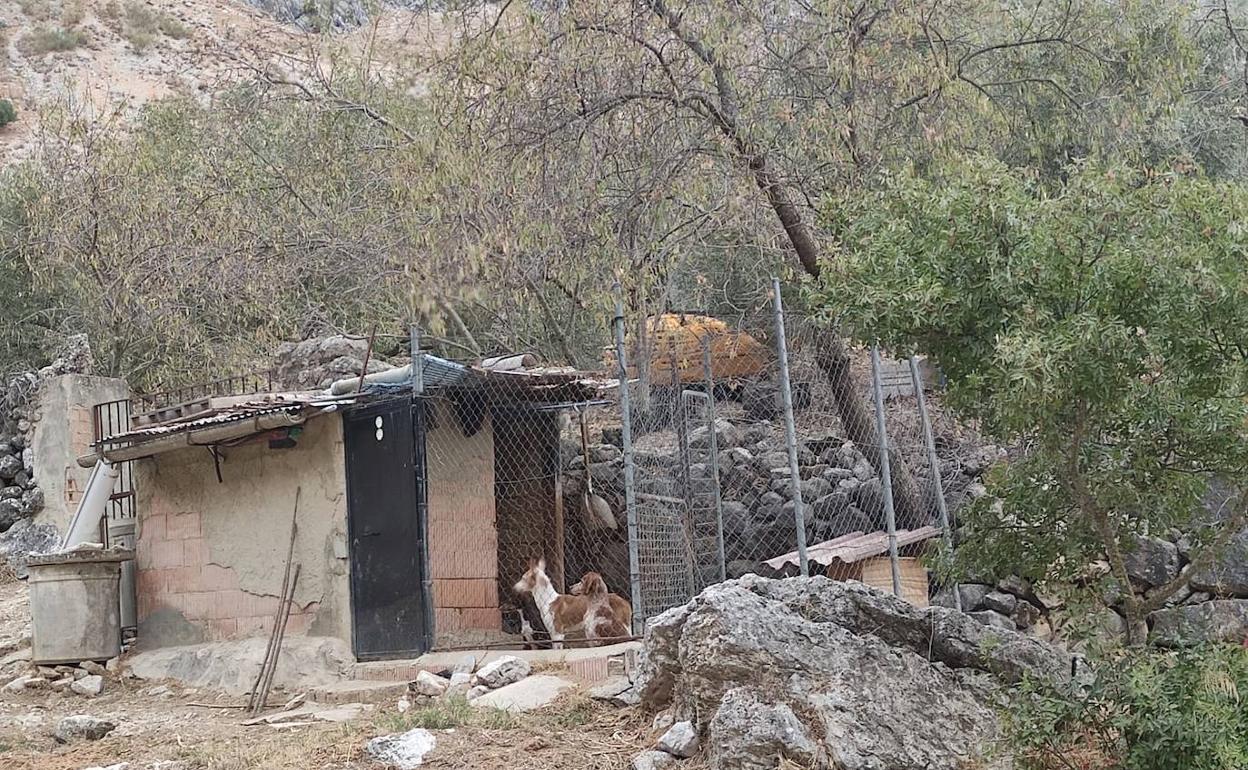 Uno de los corrales. 