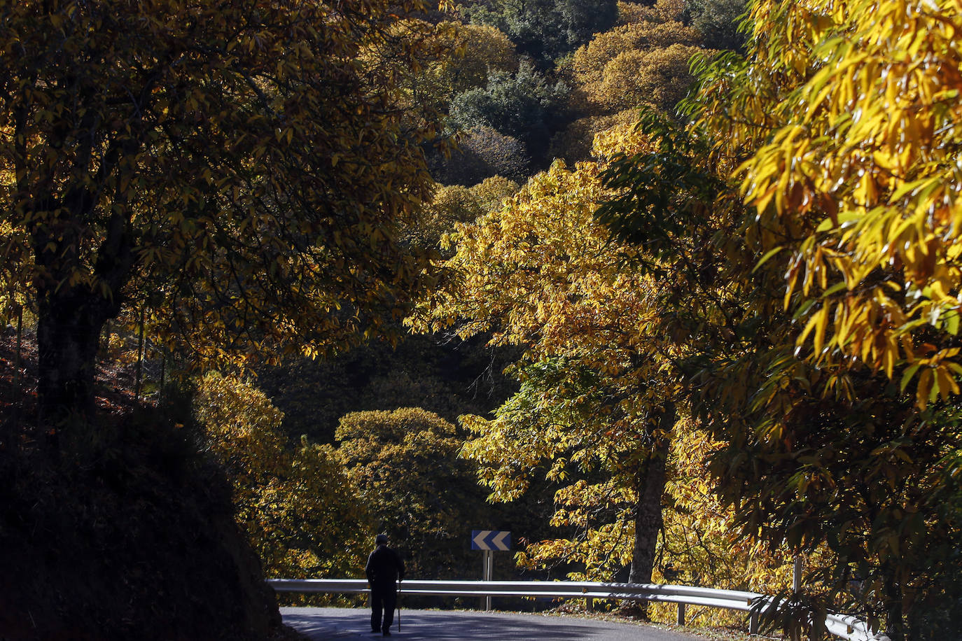 Los bellos colores del otoño en el Valle del Genal. 
