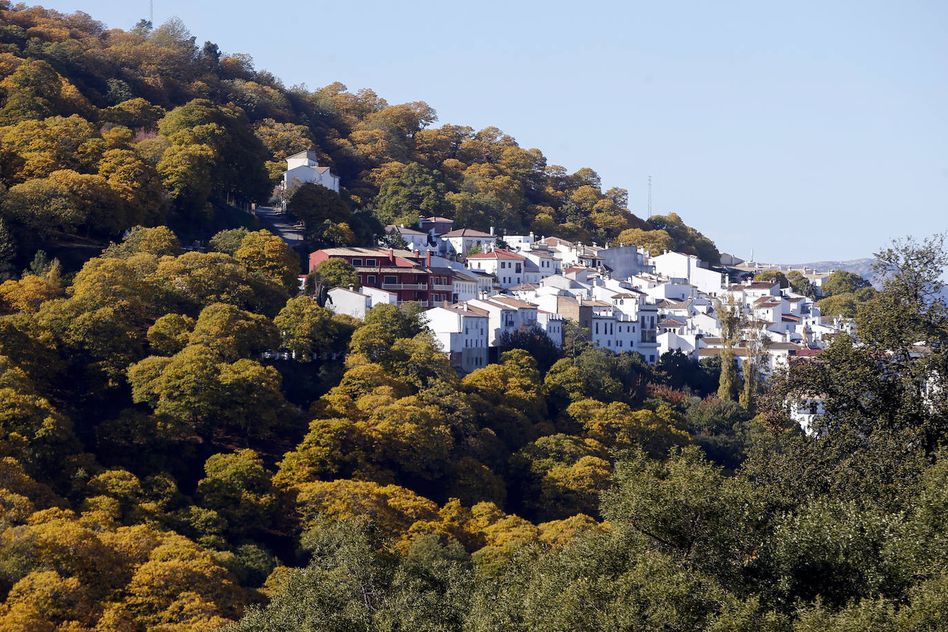 Los bellos colores del otoño en el Valle del Genal. 