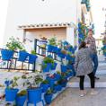 Imagen - En el Patio de las Comedias, que debe su nombre a las representaciones teatrales del s. XVI, se disfruta de una vista privilegiada, con el mirador junto a una de las torres que todavía se conservan de la antigua muralla