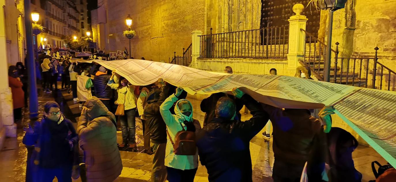 Manifestación del 25-N en Málaga capital. 