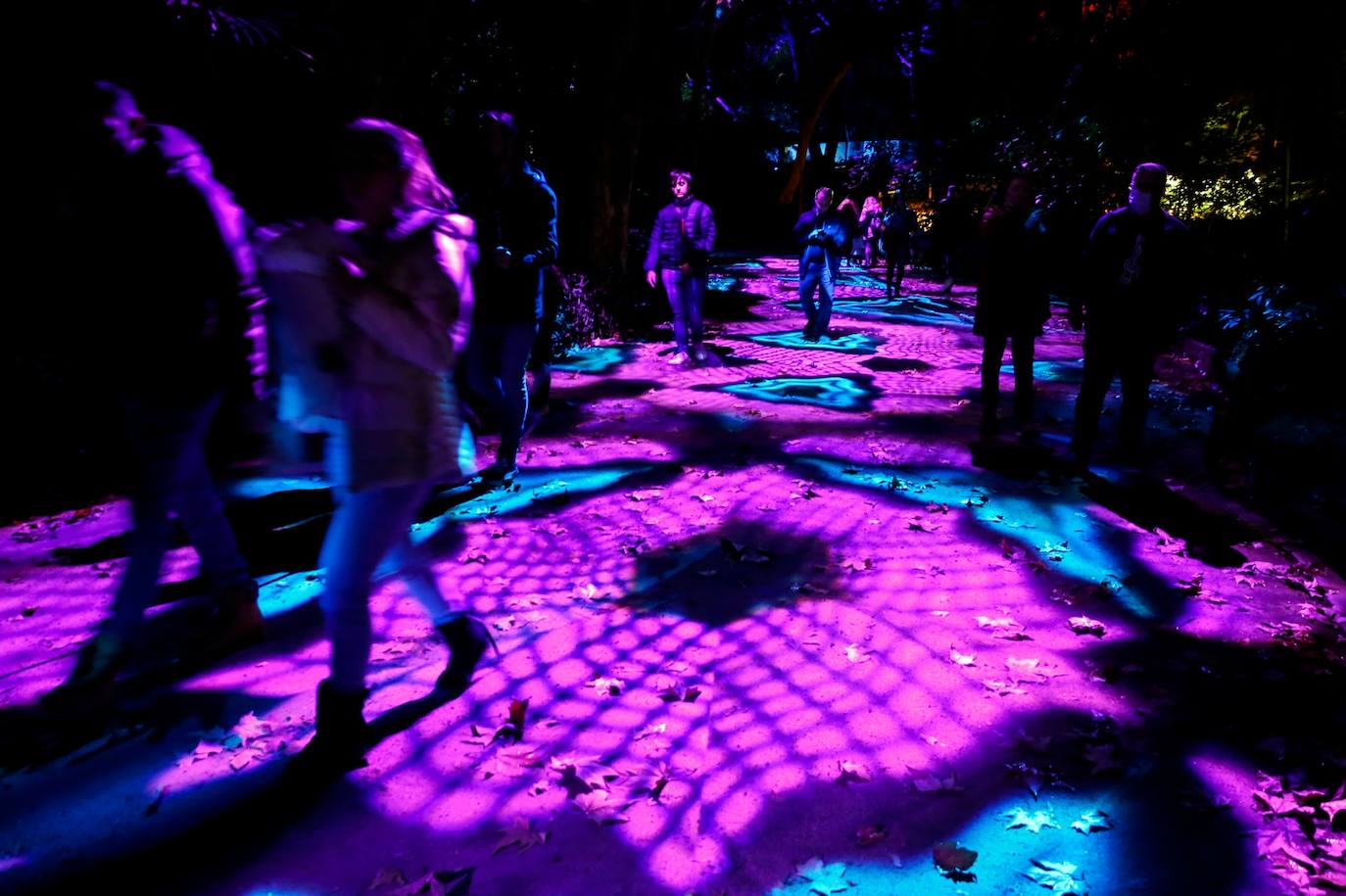 El espectáculo podrá verse hasta el 9 de enero en La Concepción. 