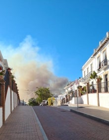 Imagen secundaria 2 - El fuego se ha quedado a apenas 200 metros de la pedanía nerjeña. 