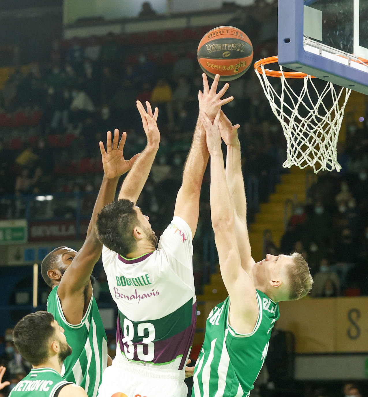 Las mejores imágenes del partido disputado este domingo en Coosur Betis y Unicaja