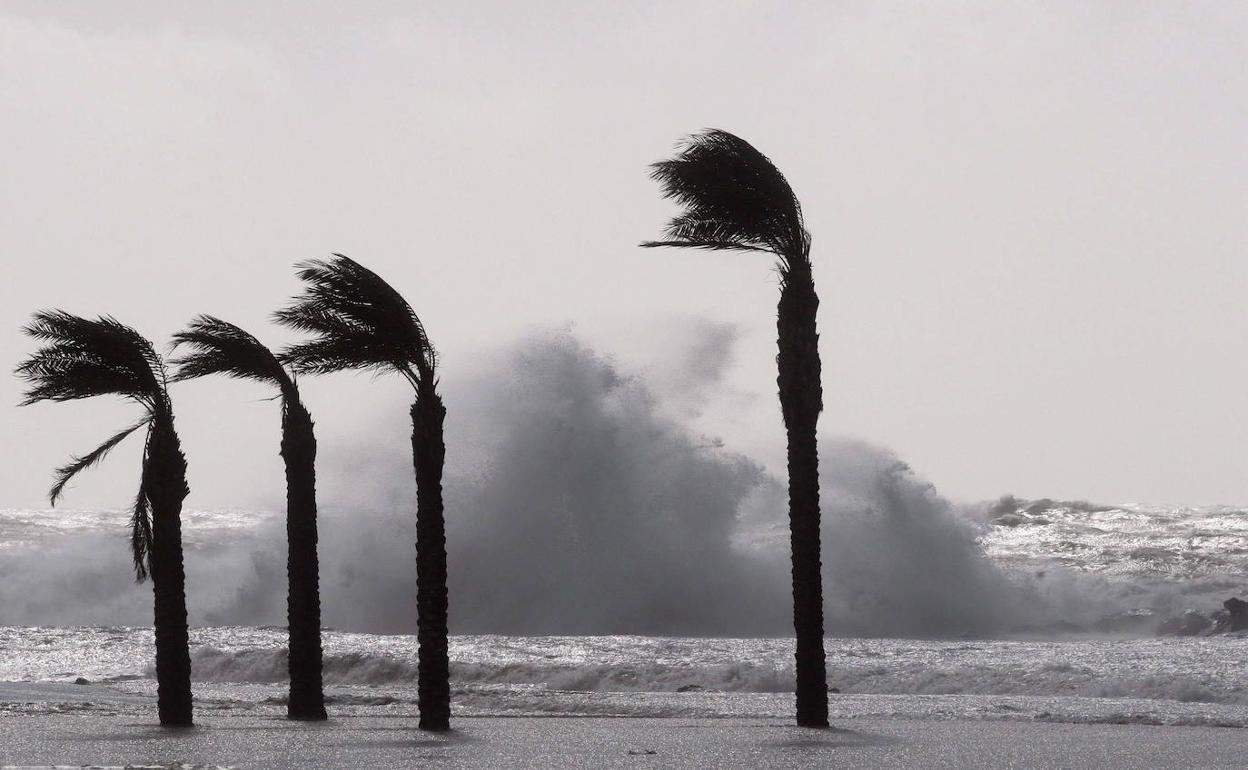 Cambio de tiempo en Andalucía: Aemet activa el aviso naranja en varias provincias