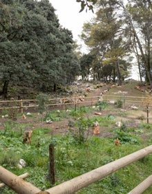 Imagen secundaria 2 - Zonas del enclave natural en la Sierra de Camarolos.