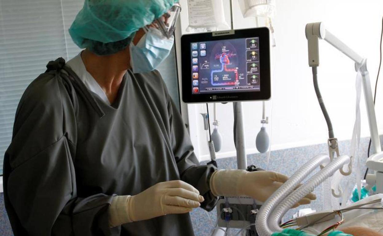 Coronavirus: Andalucía supera el riesgo alto con una incidencia de 310 puntos y suma 2.998 casos y cinco fallecidos