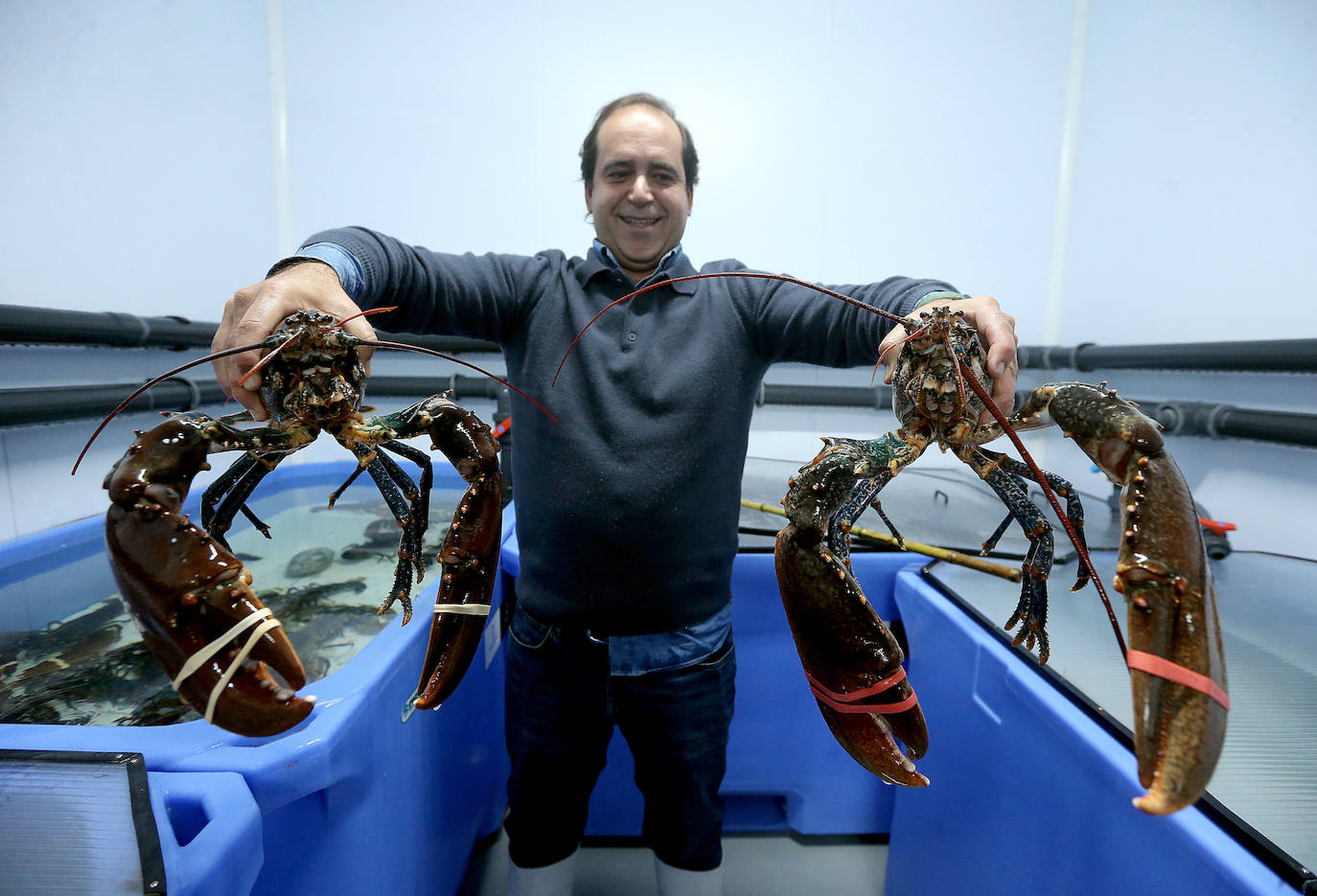 Mercamálaga es un espectáculo de productos frescos de primera calidad 
