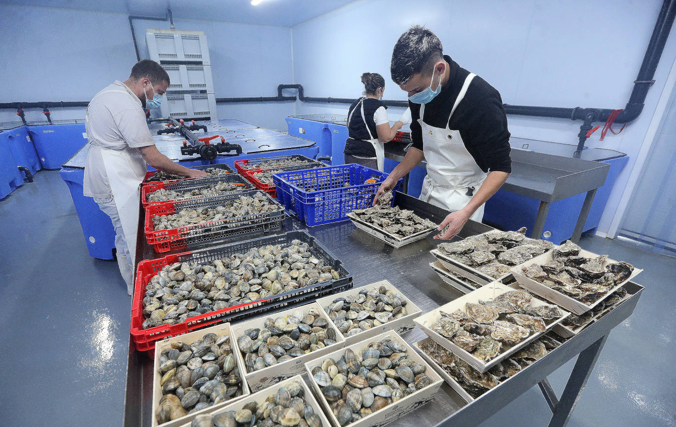 Mercamálaga es un espectáculo de productos frescos de primera calidad 