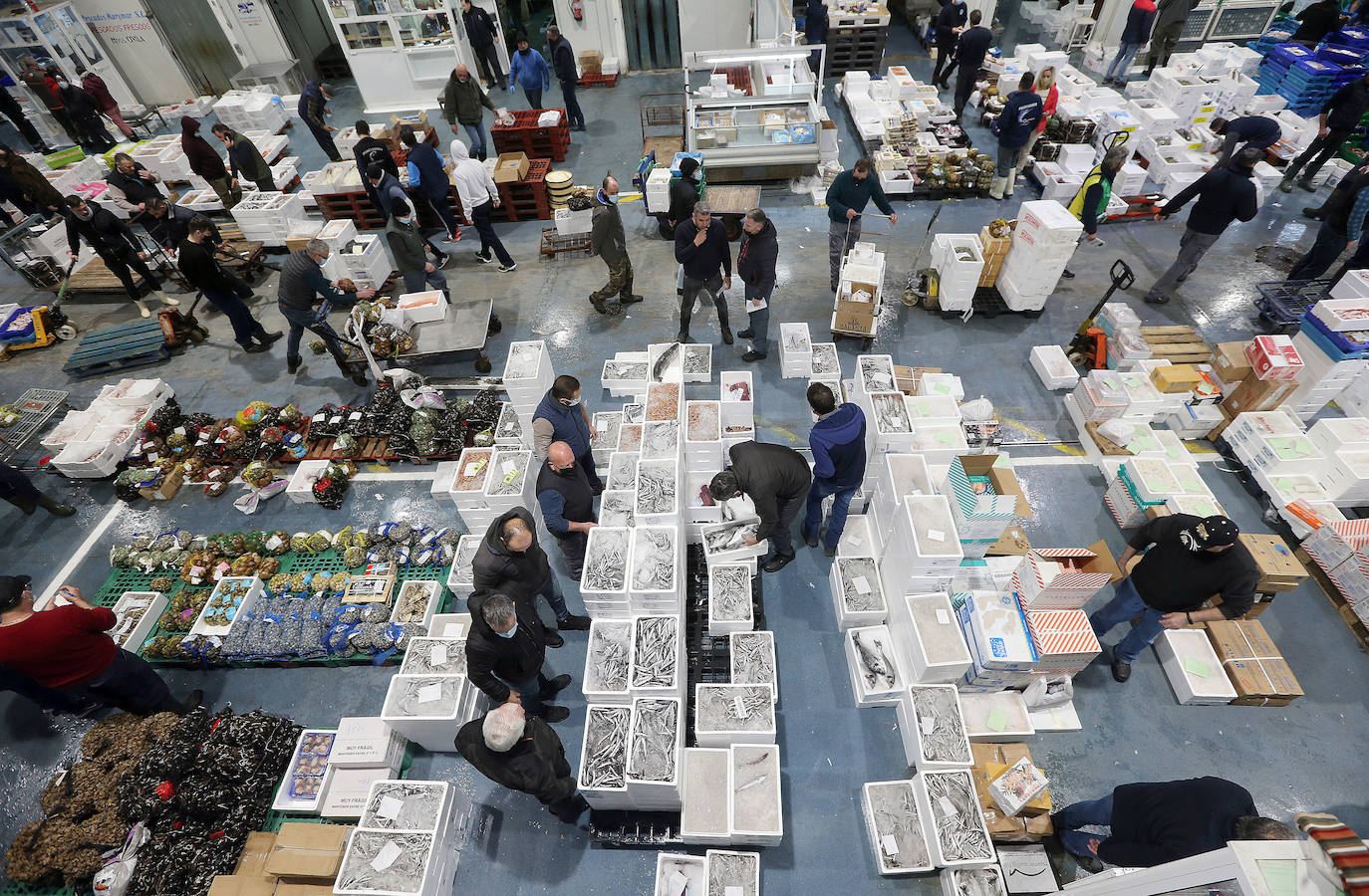 Mercamálaga es un espectáculo de productos frescos de primera calidad 