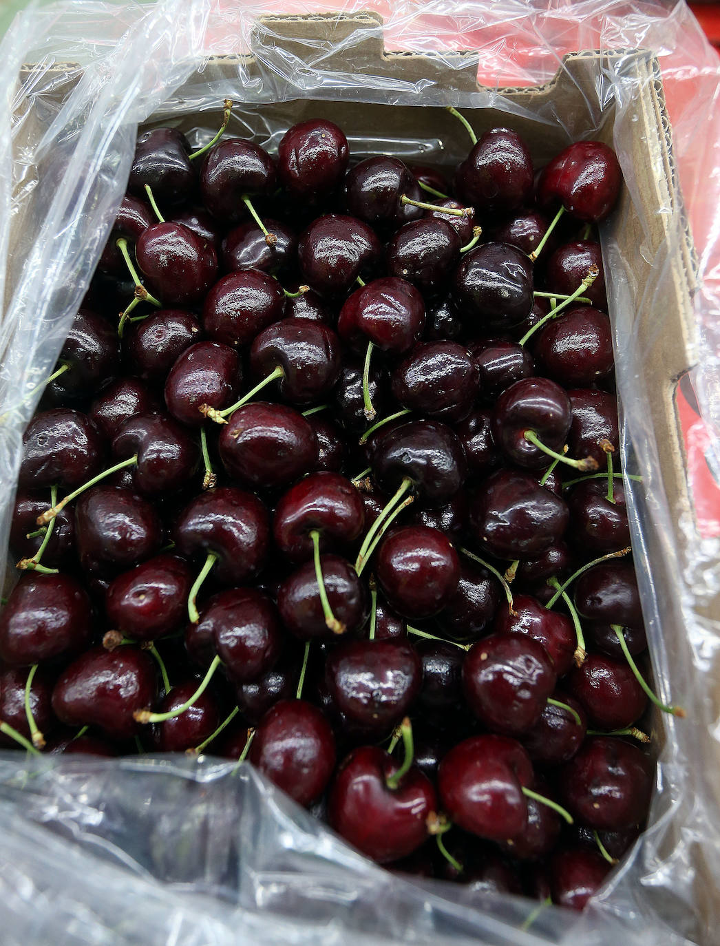 Mercamálaga es un espectáculo de productos frescos de primera calidad 