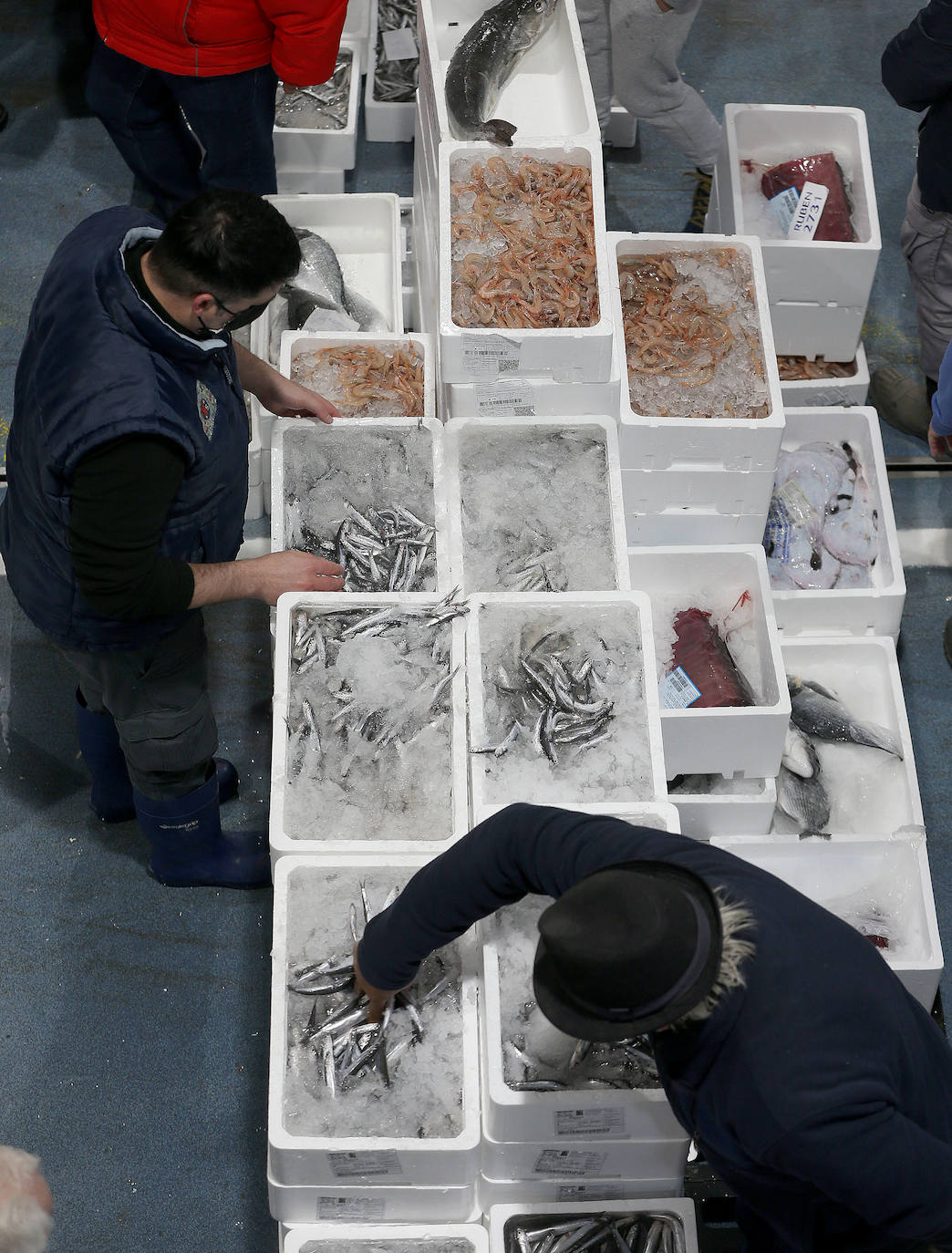 Mercamálaga es un espectáculo de productos frescos de primera calidad 
