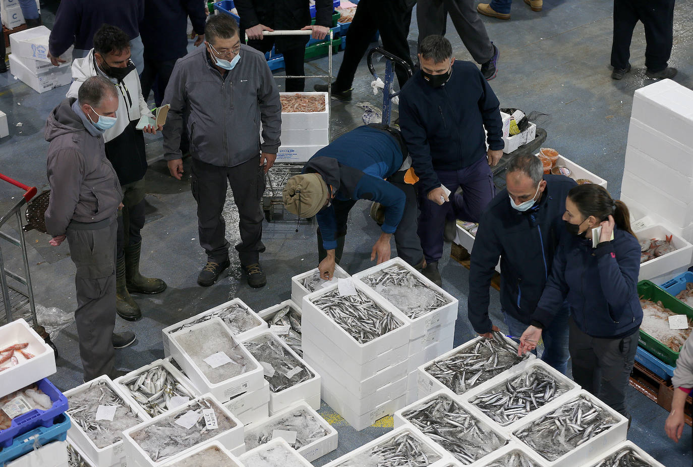 Mercamálaga es un espectáculo de productos frescos de primera calidad 