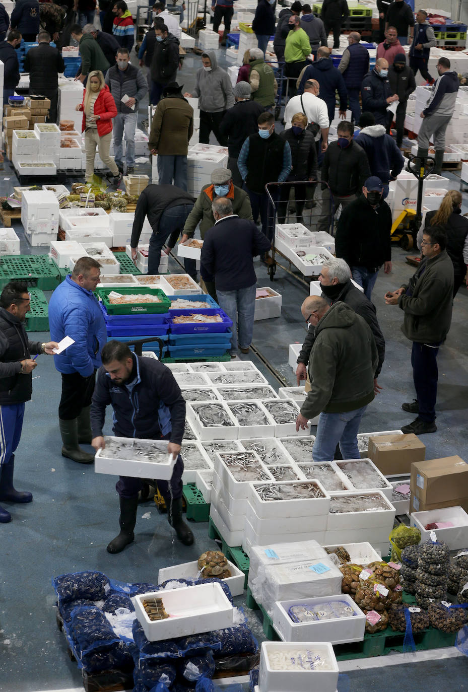 Mercamálaga es un espectáculo de productos frescos de primera calidad 