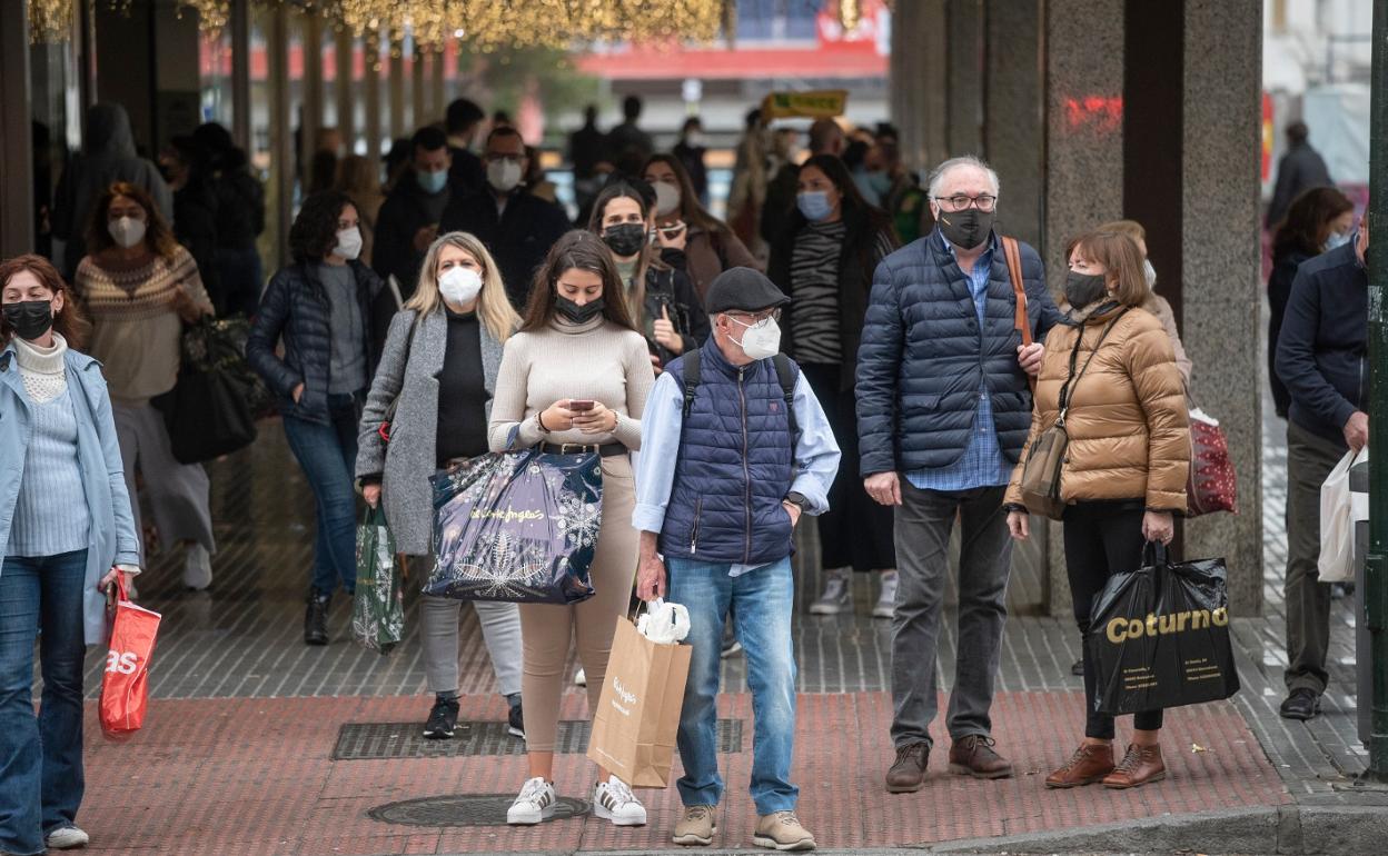 Imagen de una calle de la capital malagueña. 