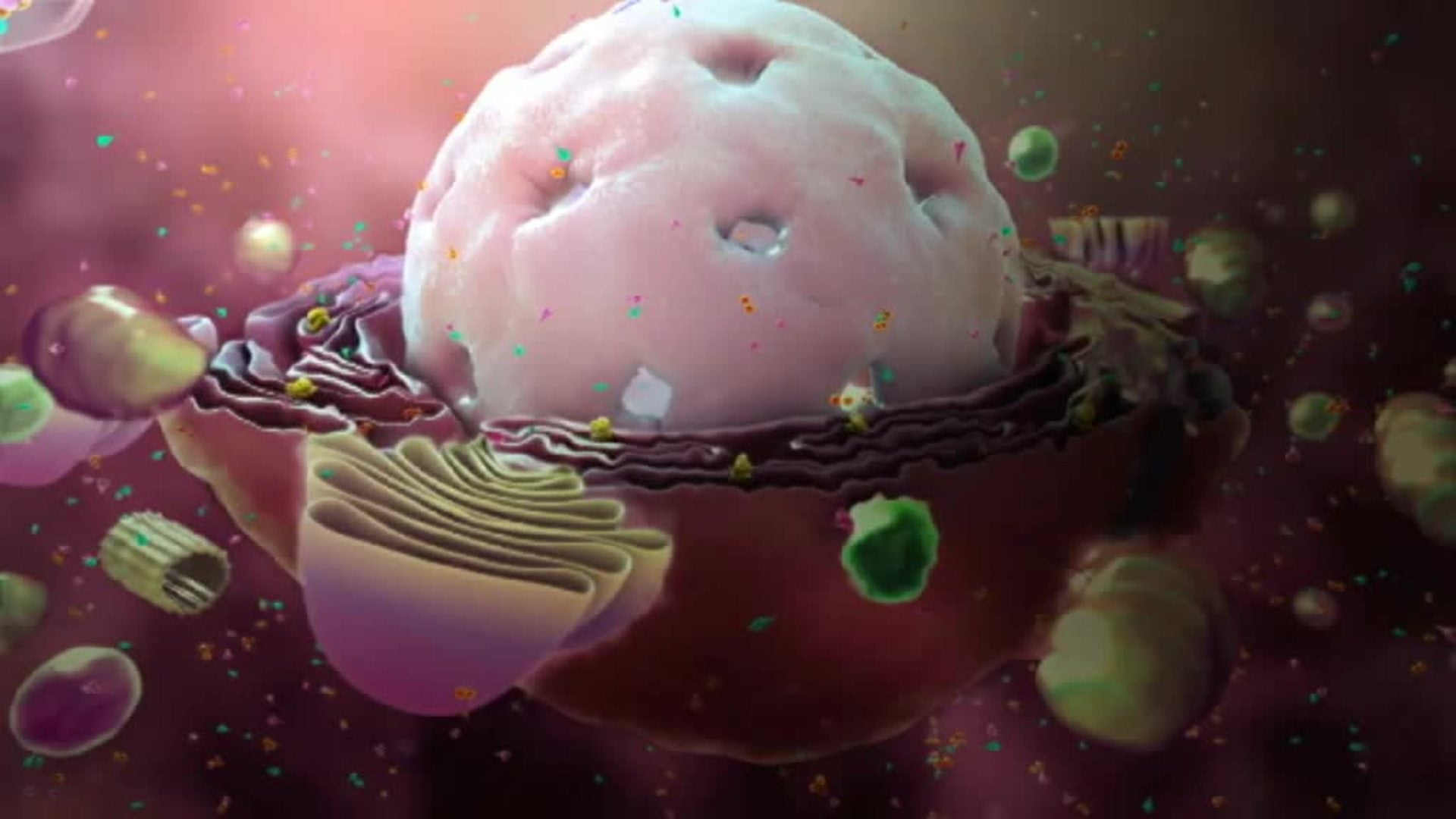 Expertos apuntan a que el coronavirus se quede entre nosotros de manera mucho más leve