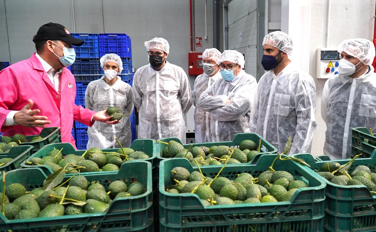 Visita del secretario general de los socialistas malagueños, Daniel Pérez, este viernes a la empresa veleña Sigfrido Fruits. 