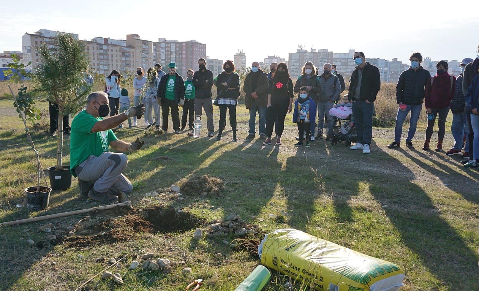 Unas 200 personas participan en la limpieza y plantación de árboles en los suelos donde el Ayuntamiento de Málaga proyecta cuatro rascacielos