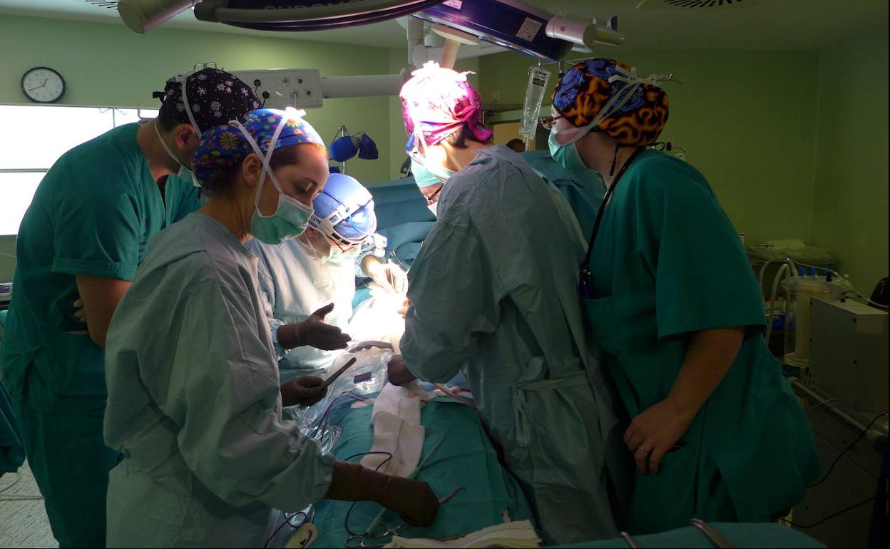Imagen de un trasplante hígado. 
