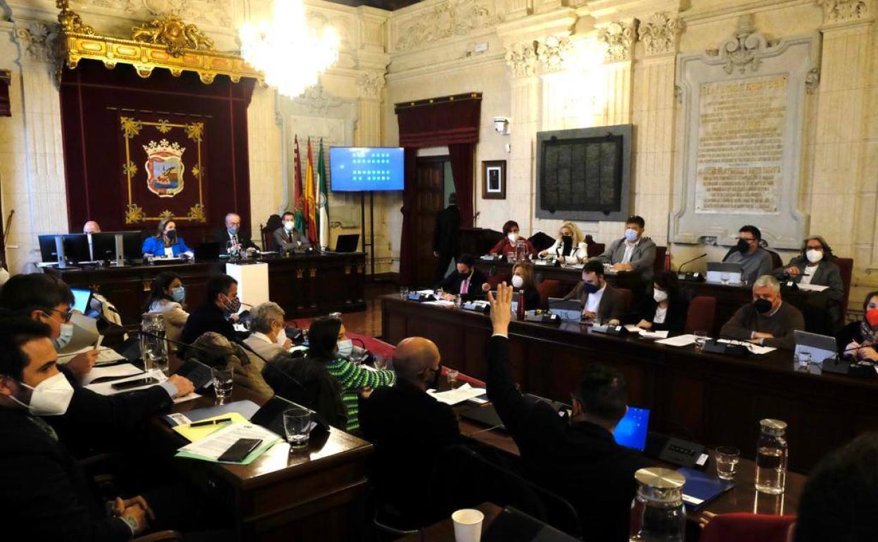 Unanimidad en el pleno de Málaga para pedir al Gobierno recuperar todas las frecuencias de los trenes del Cercanías