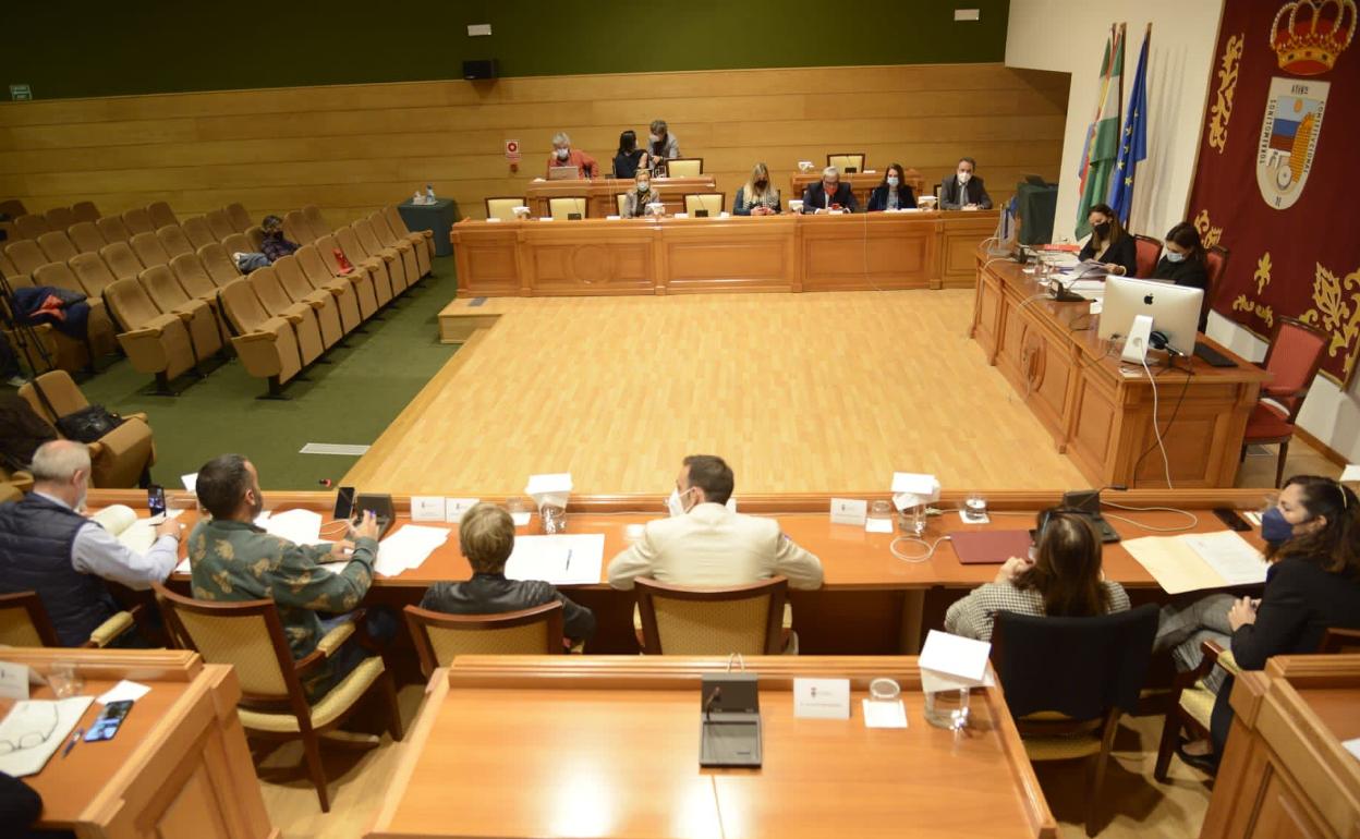 La decisión se ha tomado en la sesión plenaria de enero