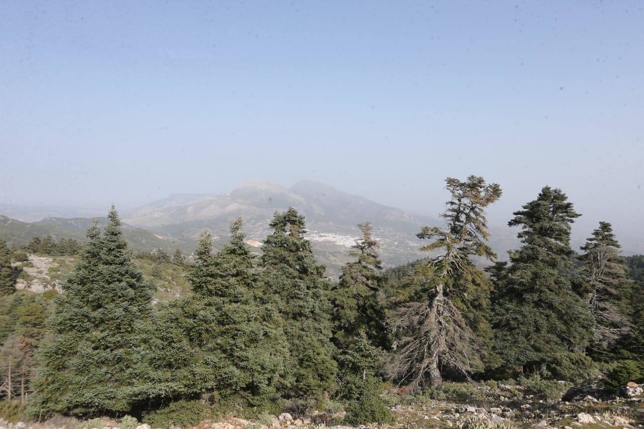 Pedro Sánchez recalcó que la consideración de Parque Nacional es «una fuente de oportunidades» para el desarrollo de la Sierra de las Nieves 