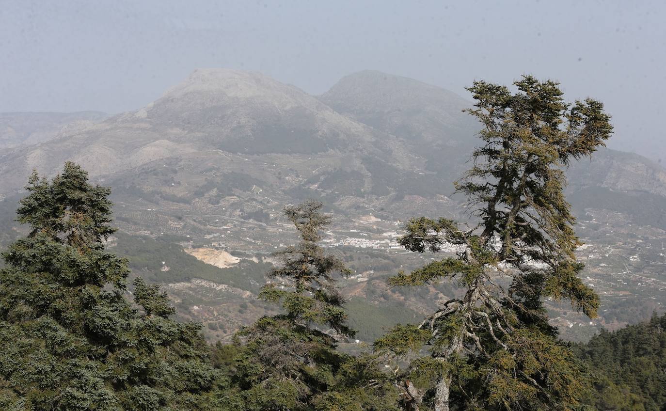 Pedro Sánchez recalcó que la consideración de Parque Nacional es «una fuente de oportunidades» para el desarrollo de la Sierra de las Nieves 