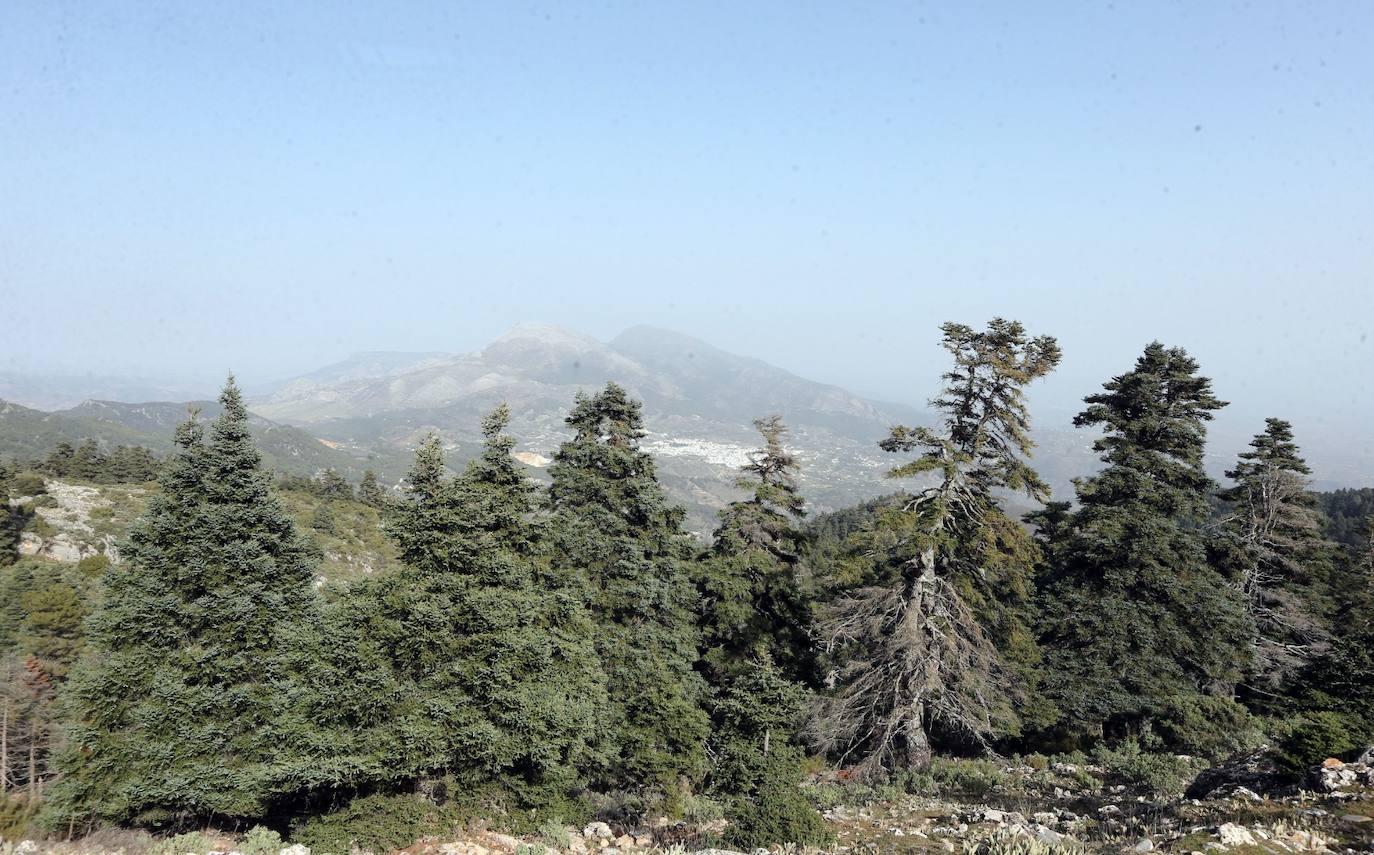 Pedro Sánchez recalcó que la consideración de Parque Nacional es «una fuente de oportunidades» para el desarrollo de la Sierra de las Nieves 