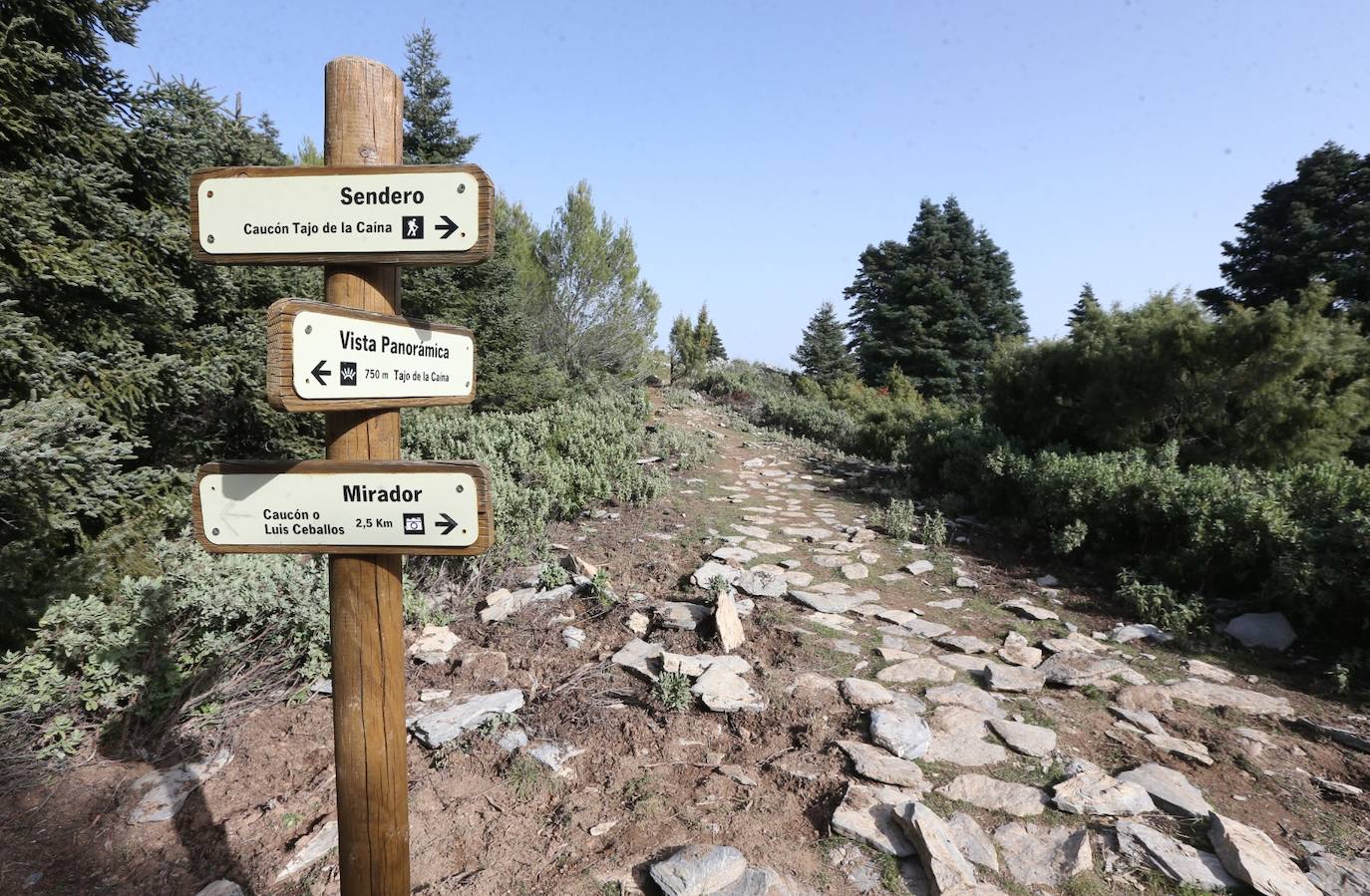 Pedro Sánchez recalcó que la consideración de Parque Nacional es «una fuente de oportunidades» para el desarrollo de la Sierra de las Nieves 