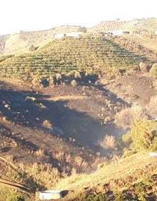 Imagen secundaria 2 - Tres imágenes de los fuegos en Torrox (arriba), Alcaucín (abajo a la izquierda) y Frigiliana (a la derecha). 