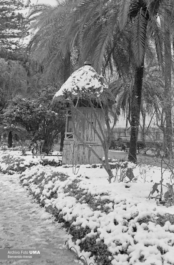 El 3 de febrero de 1954 es una fecha que ha quedado en el recuerdo de la capital. Aquel día se dieron las condiciones necesarias para que la nieve cuajara en Málaga y quedara una estampa que no se ha vuelto a repetir desde esa fecha. 