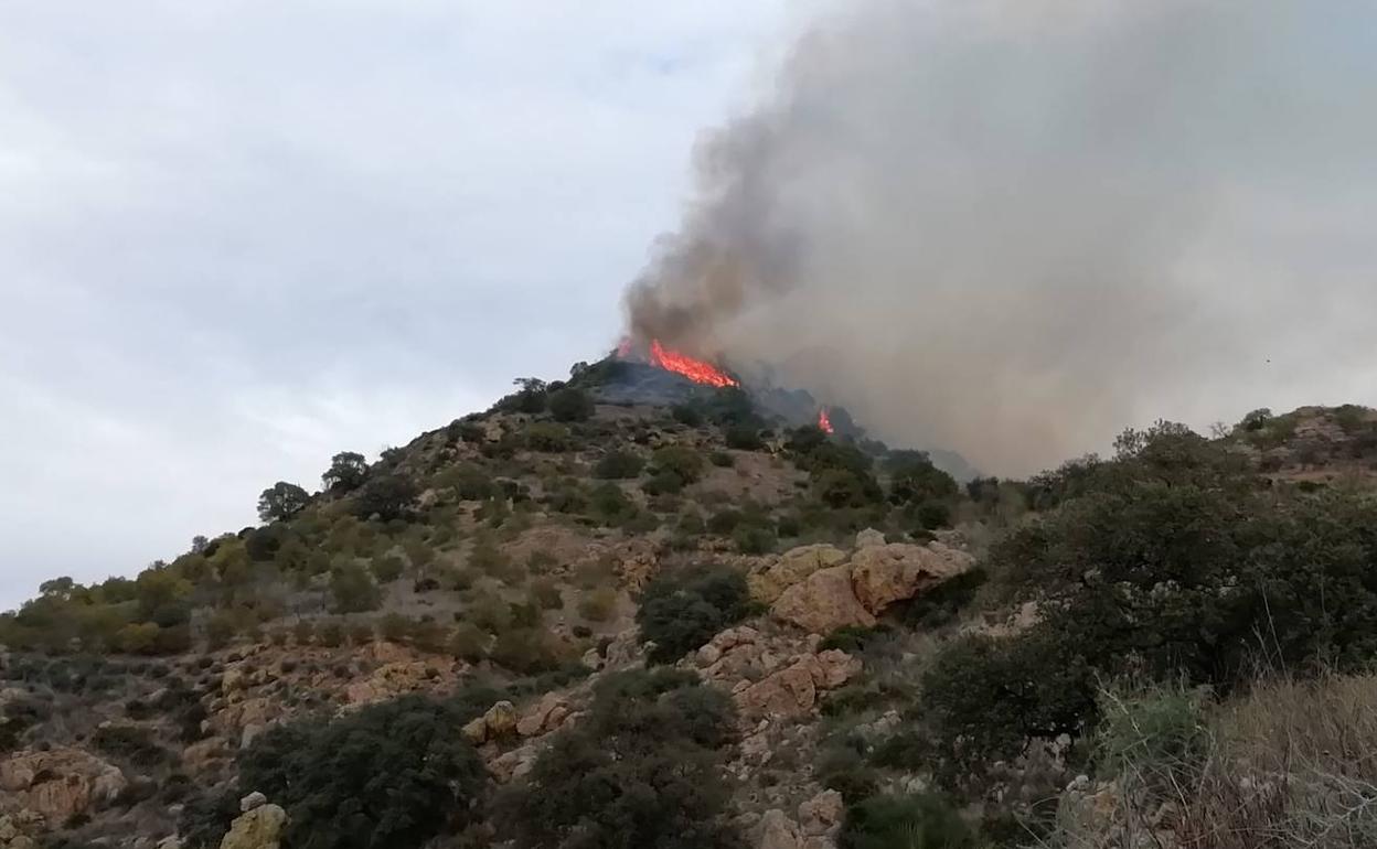 Imagen del fuego declarado este viernes en Almogía. 