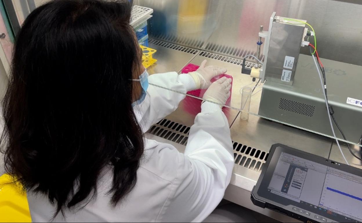 La investigadora del ICFO, Rubaiya Hussain, analizando muestras de saliva con el nuevo dispositivo. 