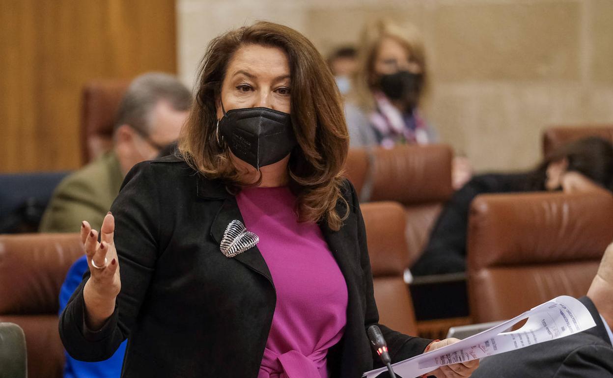 La consejera Carmen Crespo durante su intervención en el Parlamento. 