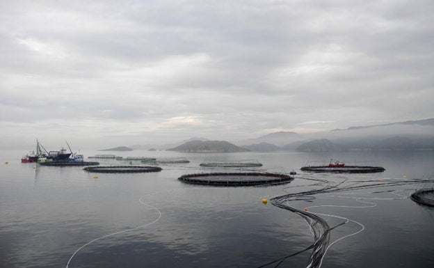 Piscifactoría en aguas noruegas.